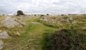 DSC04751