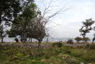 DSC04807