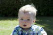 db_liam21